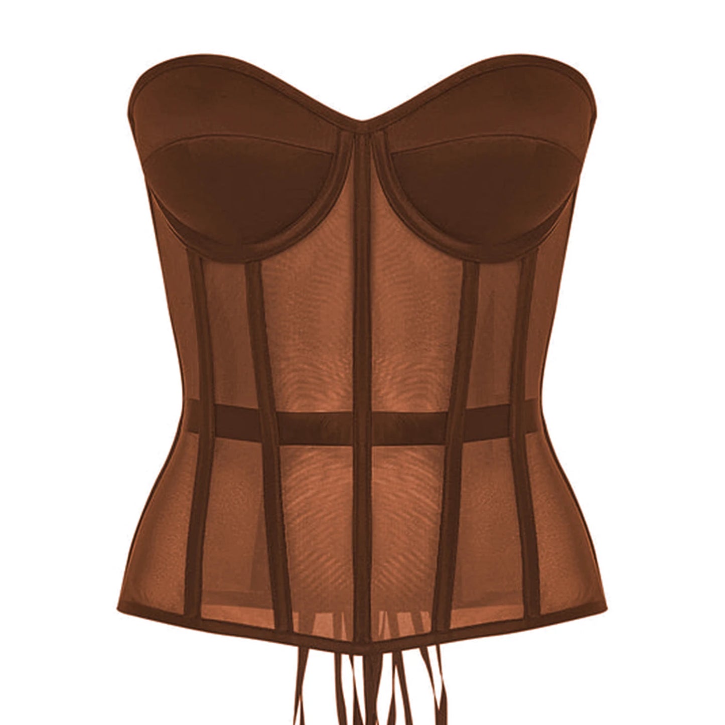 Sheer Mesh Corsets