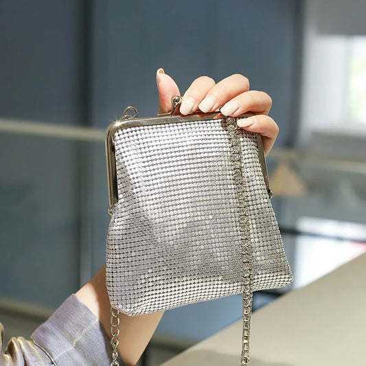 Silver Metal Purse