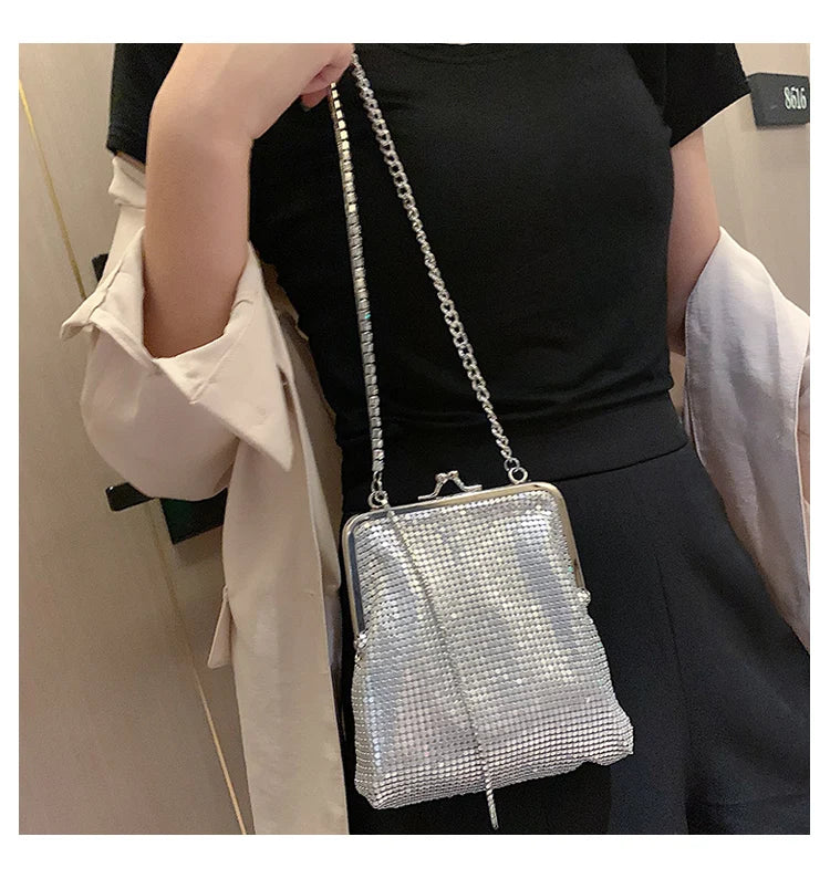 Silver Metal Purse