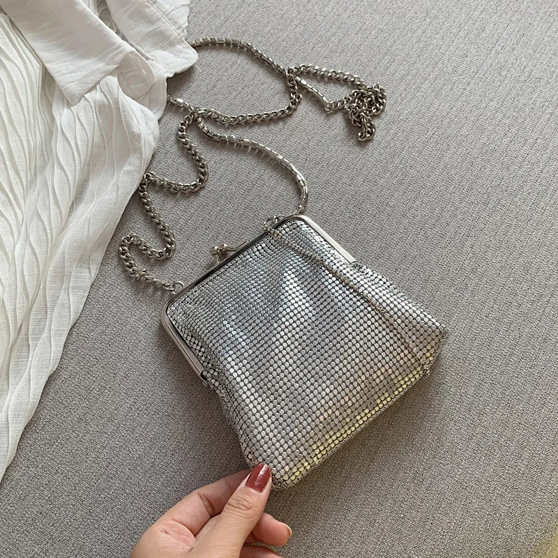 Silver Metal Purse