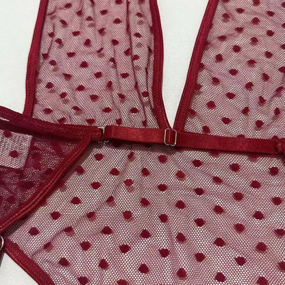 Deep V Sheer Mesh Bodysuit Set
