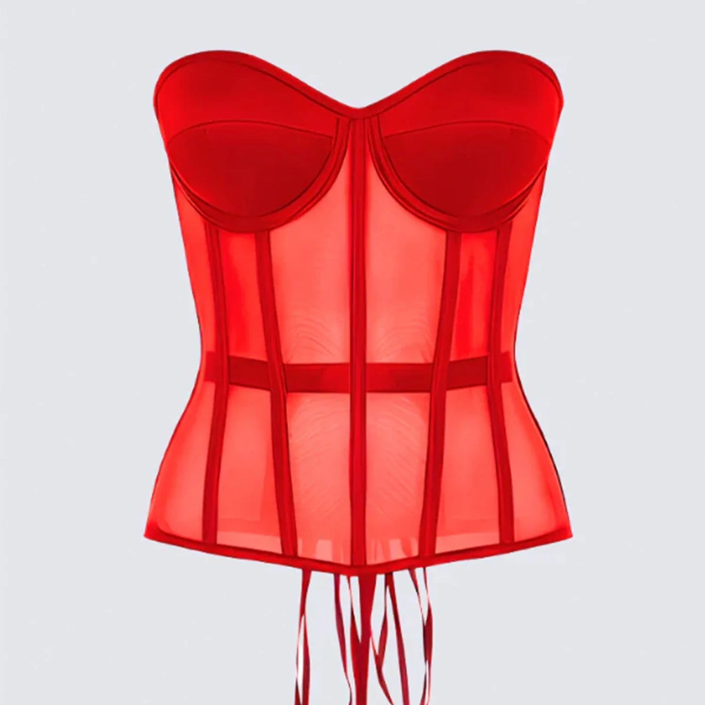 Sheer Mesh Corsets