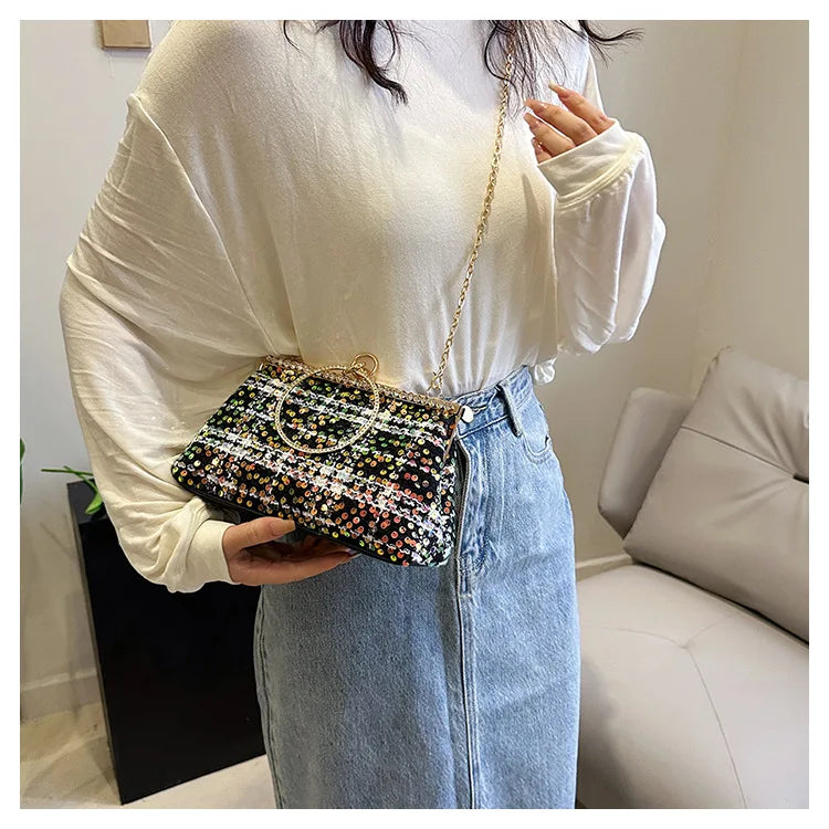 Plaid Tweed  Clutch Purse