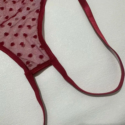 Deep V Sheer Mesh Bodysuit Set
